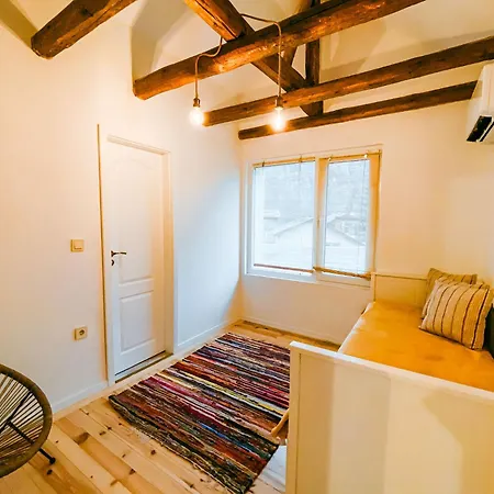 радея 4* Говедарци