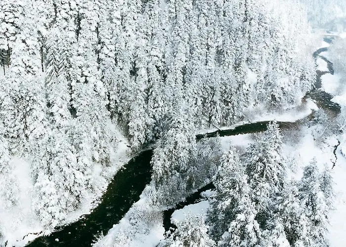 радея Pensjonat 4*